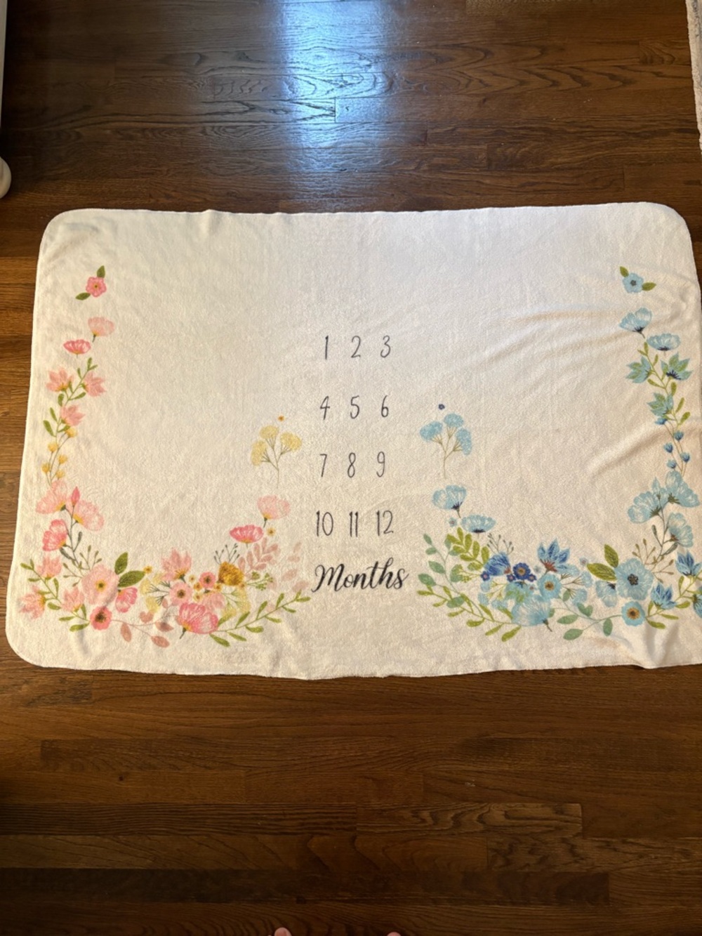 Twin Girl/Boy Baby Monthly Milestone Blanket - Pink & Blue Floral